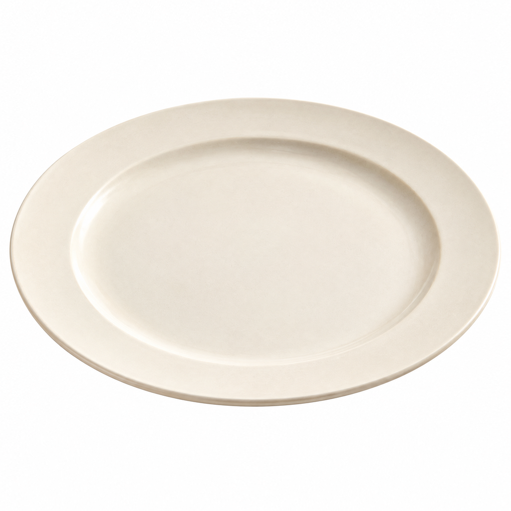 Dinner Plate Set - white background