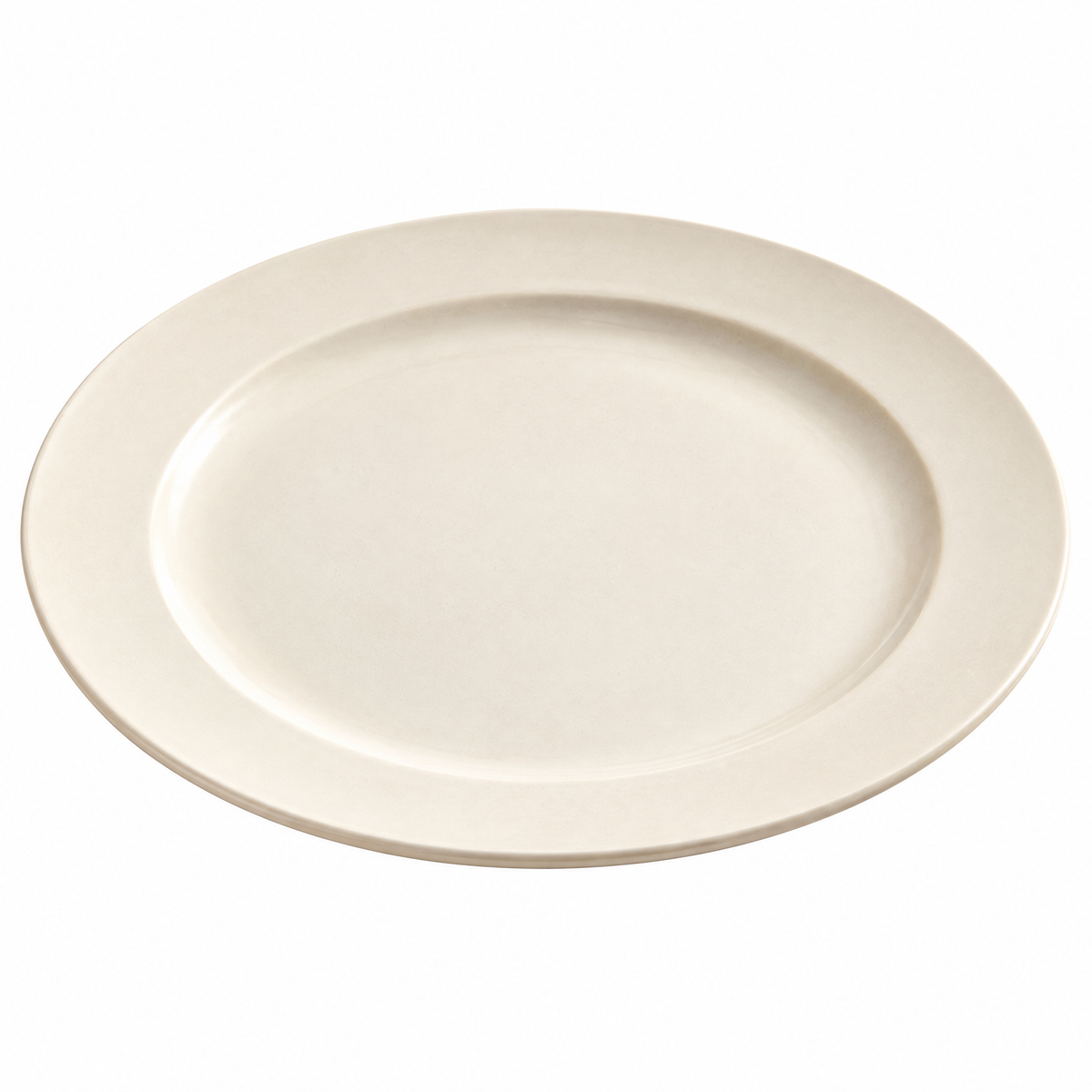 Dinner Plate Set - white background